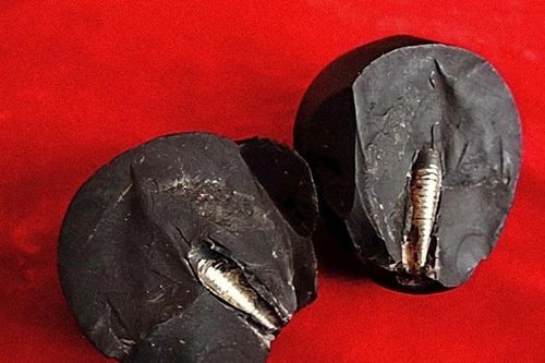 Giật mình bằng chứng nghi của nền văn minh ngoài hành tinh