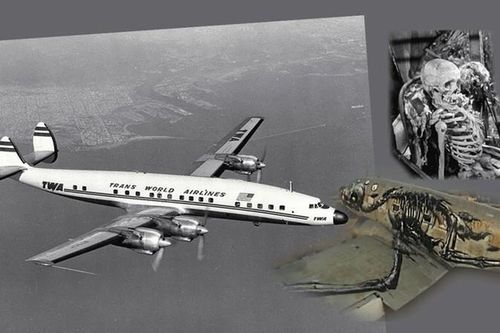 Bí ẩn chuyến bay 'mất tích' 35 năm, hạ cánh có 92 bộ hài cốt