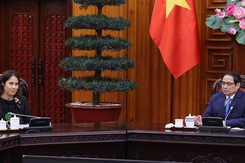 Việt Nam luôn theo dõi sát tình hình xung đột vũ trang tại Ukraine