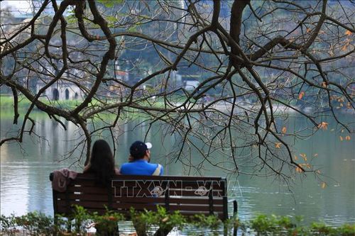 Hà Nội lãng mạn mùa lộc vừng thay lá