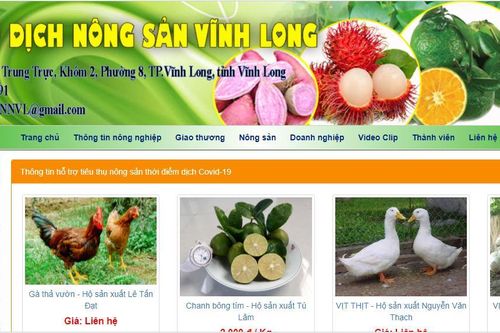 Gian nan câu chuyện đưa sản phẩm hợp tác xã lên sàn
