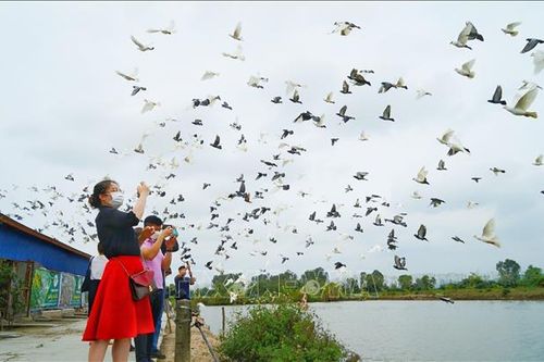 Phát triển sản phẩm du lịch Hải Phòng thích ứng với tình hình mới