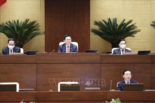 Chủ tịch Quốc hội: Phải có kịch bản rõ ràng về điều hành giá xăng dầu