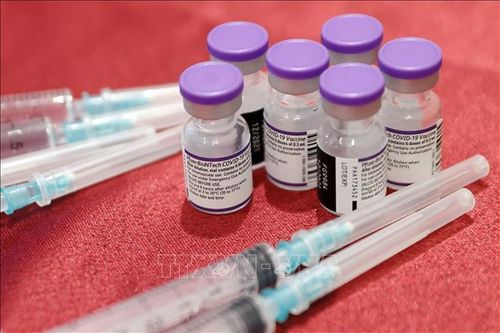 WTO hoan nghênh bước tiến về dỡ bỏ quyền sở hữu trí tuệ vaccine ngừa COVID-19