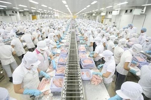 Xuất khẩu vào thị trường CPTPP khá ấn tượng