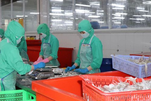 Cà Mau: F0 không triệu chứng được đi làm