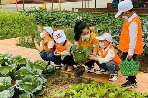 Học và trải nghiệm tại 'Vườn rau của bé'