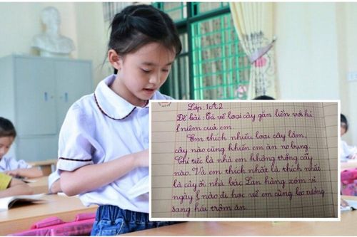 Hái trộm ổi nhà hàng xóm và giấu giếm bấy lâu, đến khi viết văn bé gái lại hồn nhiên kể sạch sành sanh