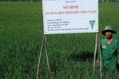 Dự án VnSAT chậm tiến độ, còn hơn 500 tỷ đồng phải thực hiện từ nay đến cuối năm
