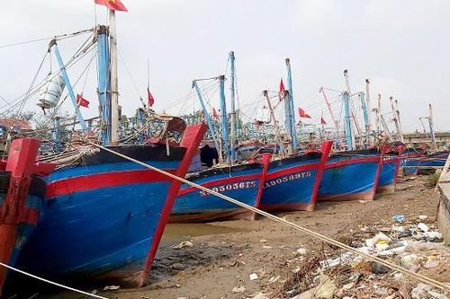 Nghệ An: Giá dầu tăng cao, ngư dân vươn khơi vì 'nhớ nghề, nhớ biển'