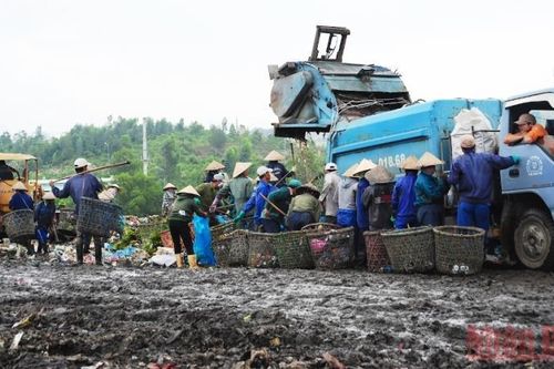 Xử phạt 200 triệu đồng vì để ô nhiễm môi trường