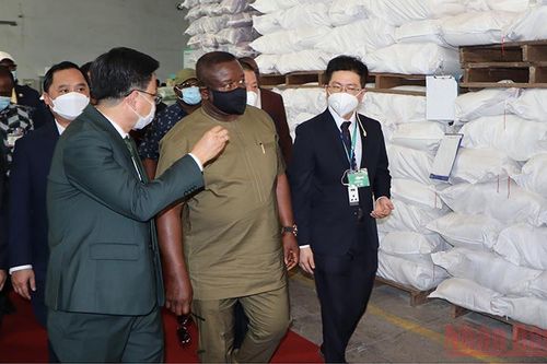Angimex xuất khẩu gạo sang Cộng hòa Sierra Leone