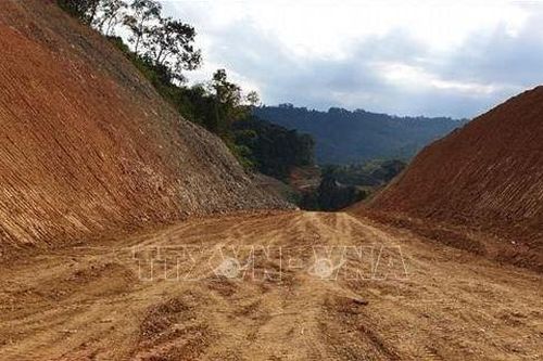 Lập tổ công tác xác minh sai phạm vụ phá rừng Vườn Quốc gia làm đường Trường Sơn Đông