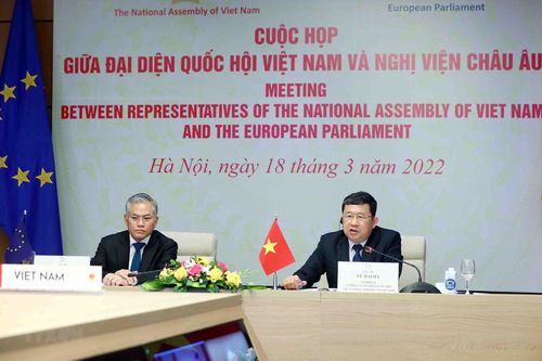 Quốc hội Việt Nam và Nghị viện châu Âu họp về việc triển khai EVFTA
