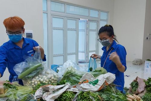 Thanh niên góp sức trẻ đầy lùi dịch COVID-19
