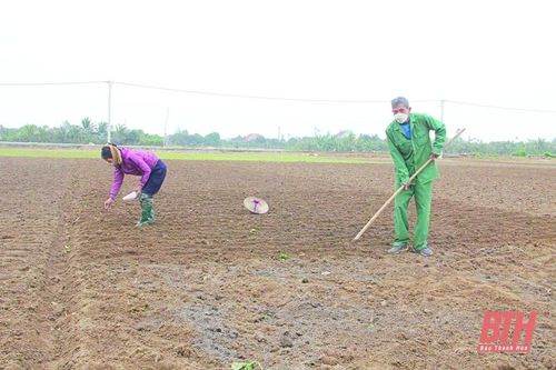 'Giữ lửa' cho sinh hoạt chi bộ - cách làm ở huyện Nga Sơn