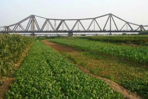 Hà Nội sẽ phát triển bãi giữa, bãi ven sông Hồng thành công viên văn hóa du lịch