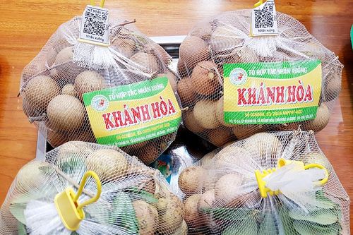 An Giang phát triển những vùng cây ăn trái bền vững