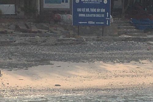 Đã thu gom hết lượng dầu vón cục dạt vào bãi biển Nha Trang và đảo Hòn Mun