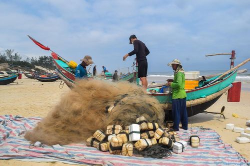 Ngư dân Quảng Bình 'than dài' dù trúng đậm ruốc biển, cá trích