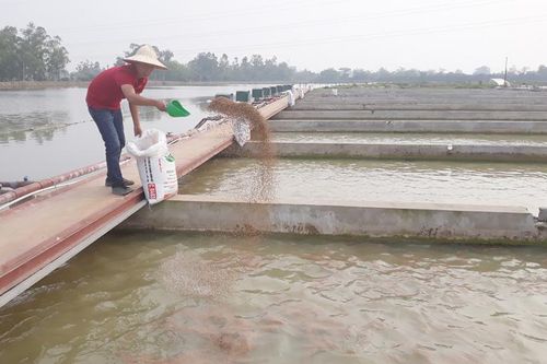 Tạo sức bật phát triển nông nghiệp