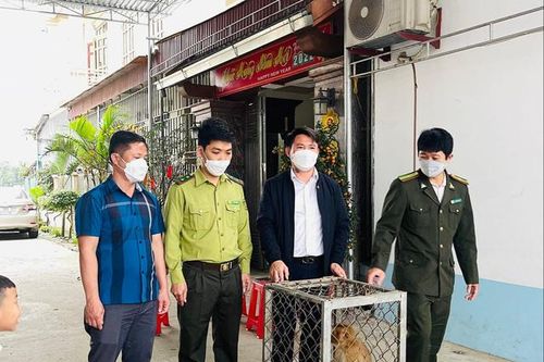 Người đàn ông ở Hà Tĩnh mua 2 cá thể động vật quý hiếm thả về rừng