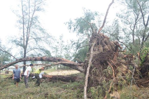Chủ động ứng phó, giảm thiệt hại do thiên tai gây ra