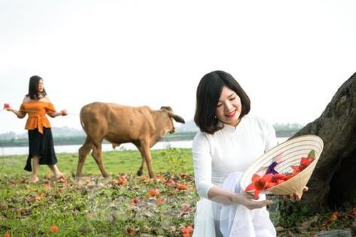 Hoa gạo 'bung lụa' đỏ rực làng quê, bạn trẻ thích thú lưu giữ khoảnh khắc