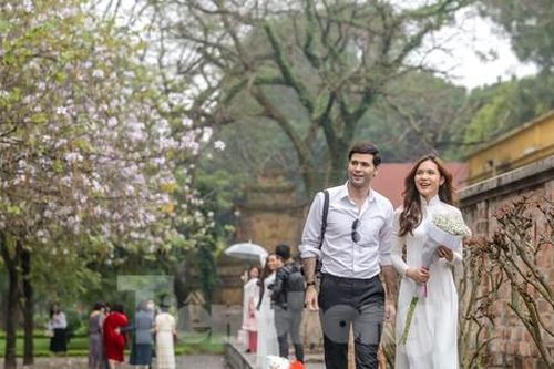 Người trẻ mê mẩn với loài hoa ban Tây Bắc giữa lòng Hà Nội
