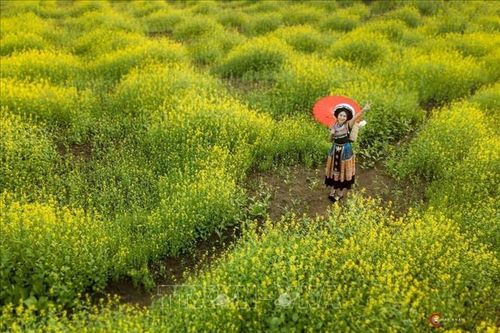 Xuân muộn nơi biên cương Cao Bằng