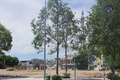 Khu 'đất vàng' tại thành phố Sầm Sơn có giá khởi điểm hơn 222 tỷ đồng