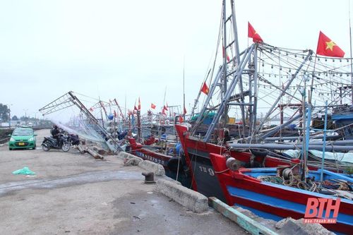 Lắt lay trong cơn 'bão giá' xăng dầu (Bài 2): Hàng loạt tàu cá nằm bờ