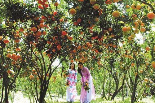 Sẽ 'hồi sinh' trục du lịch thành phố Hồ Chí Minh và 13 tỉnh đồng bằng sông Cửu Long