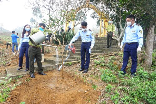 Trồng 3.500 cây keo giúp gia đình cựu chiến binh