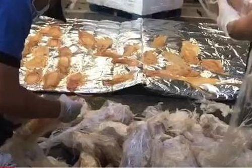 Thu giữ 45kg bong bóng cá sửu Macdonald quý hiếm qua đường hàng không