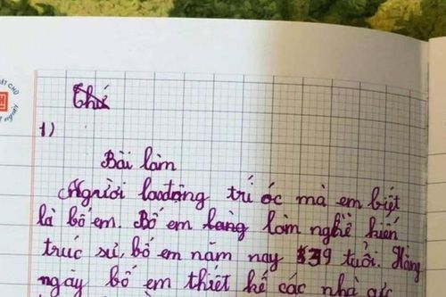 Bài văn tả bố làm kiến trúc sư của học sinh tiểu học