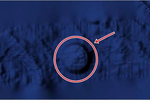 Dùng Google Earth, bất ngờ phát hiện UFO ẩn mình dưới đại dương?