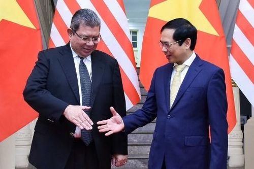 Bộ trưởng Ngoại giao Bùi Thanh Sơn đón và hội đàm với Bộ trưởng Ngoại giao Malaysia Saifuddin Abdullah