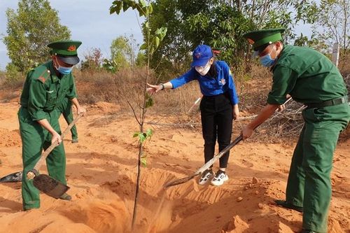 Ra quân Ngày Chủ nhật xanh đồng loạt trên toàn quốc