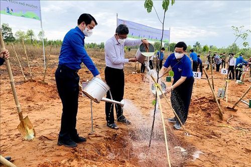 Đồng loạt ra quân 'Ngày Chủ nhật xanh' toàn quốc năm 2022