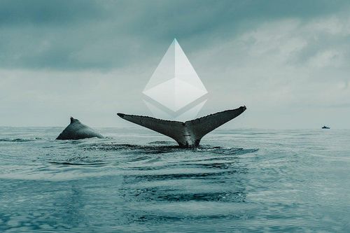 'Cá voi' đang gom Ethereum