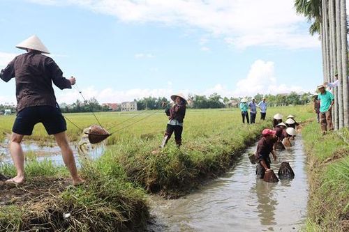 Đà Nẵng thí điểm 15 mô hình du lịch nông thôn