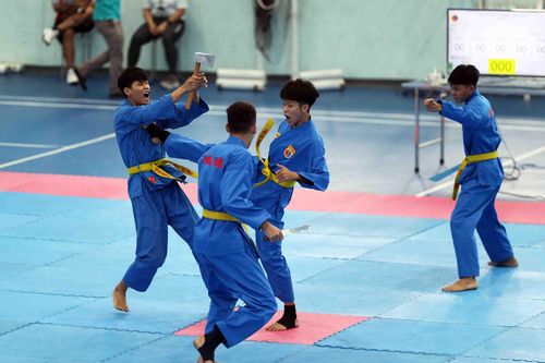 Vovinam khởi động chiến dịch