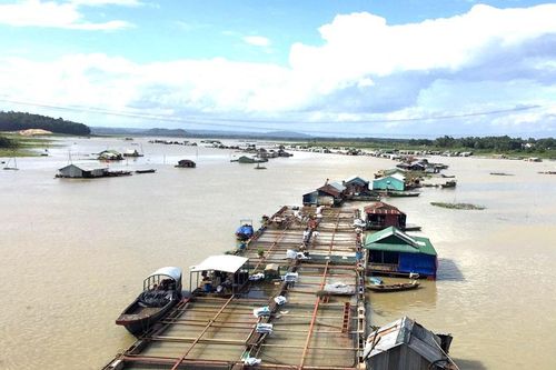 Ô nhiễm nguồn nước tại các khu vực nuôi thủy sản ở Đồng Nai