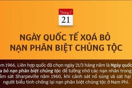Ngày quốc tế Xóa bỏ nạn phân biệt chủng tộc bắt đầu từ khi nào?