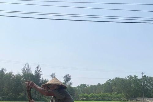 Đất nông thôn sốt sình sịch khi dự án đang 'trên giấy'