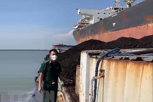 Thành phố Hồ Chí Minh: Phát hiện 900 tấn than không rõ nguồn gốc