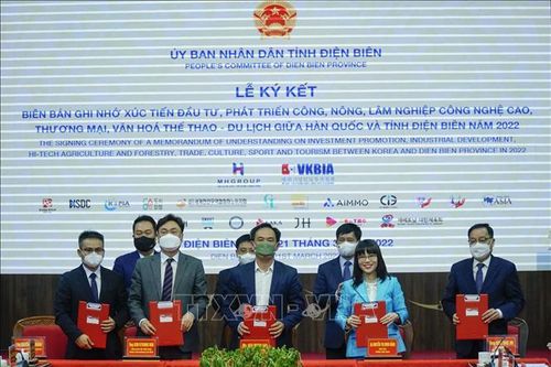 Xúc tiến thu hút doanh nghiệp Hàn Quốc đầu tư vào Điện Biên