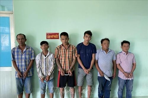 Tạm giữ nhóm đối tượng đe dọa, dùng xe cẩu để cưỡng đoạt một cây mai vàng