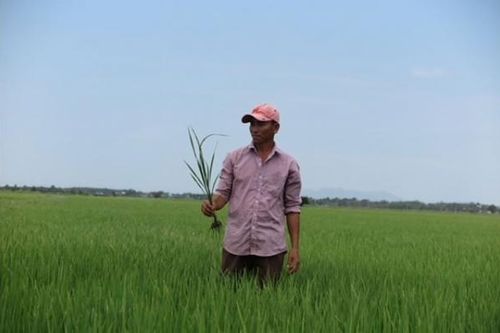Chuyện vui của anh Tư Trung 'Đất đỏ'